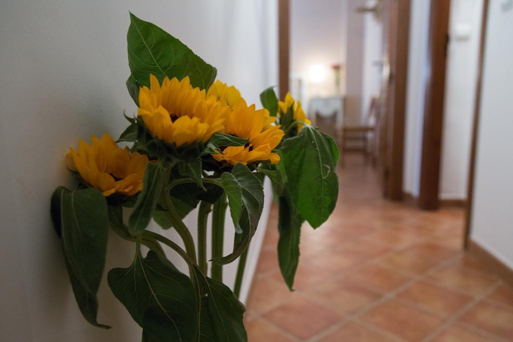 Casa Rural Migolla オスナ エクステリア 写真
